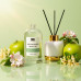 Apple Blossom Vanilla Reed Diffuser Refill Oil 3.4oz/100mL Apple Blossom Vanilla Reed Diffuser Refill Oil 3.4oz/100mL