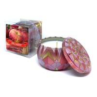 Apple Harvest Travel Tin Candle