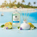 Blue Lagoon Reed Diffuser Refill Oil 3.4oz/100mL