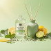 Eucalyptus Tea Reed Diffuser Refill Oil 3.4oz/100mL Eucalyptus Tea Reed Diffuser Refill Oil 3.4oz/100mL