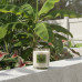 Honeysuckle Jasmine Jewelry Candle